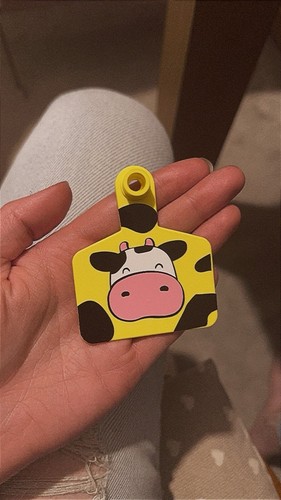 Cow tag keyrings - tag,