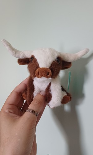 Jomanda texas longhorn - jomanda, brown