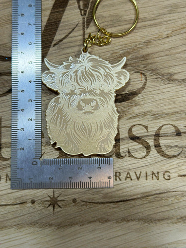 Highland cow head acrylic - highland,