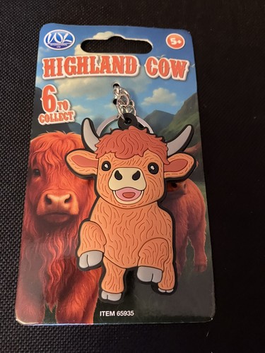 Scottish highland cow - cow, cattle