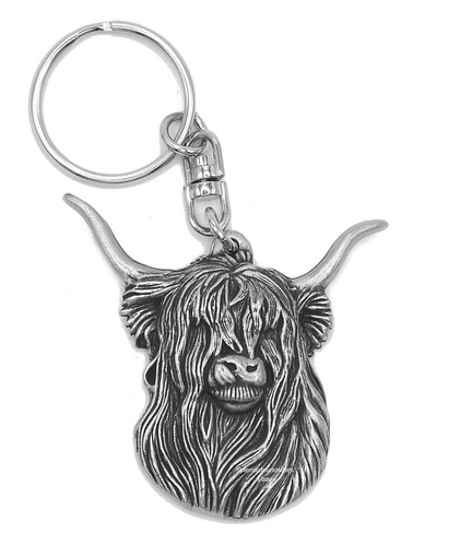Large scottish highland cow - scottish,