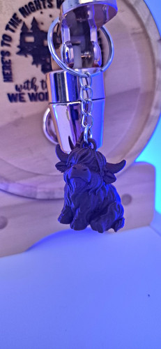 Highland cow animal - animal, key