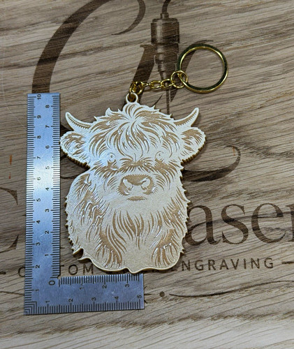 Highland cow head acrylic - head,